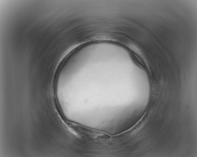 X0000067001141200604142252