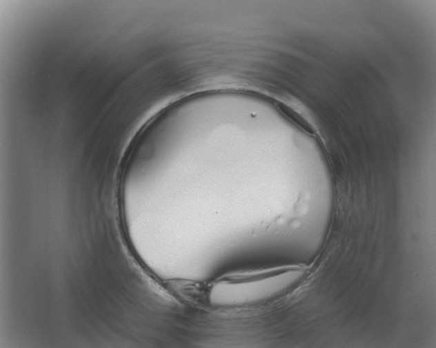 X0000067001142200604142252