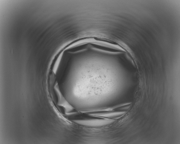 X0000067001144200604142252