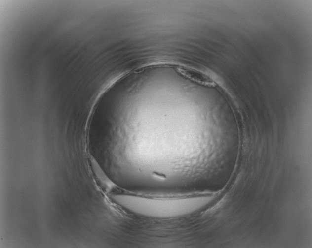 X0000067001145200604142252