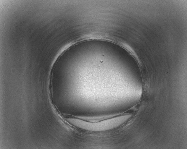 X0000067001146200604142252