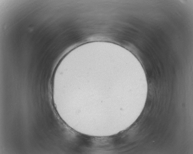 X0000067001150200604142252