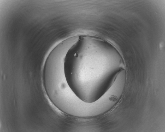 X0000067001152200604142252