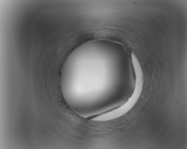 X0000067001153200604142251