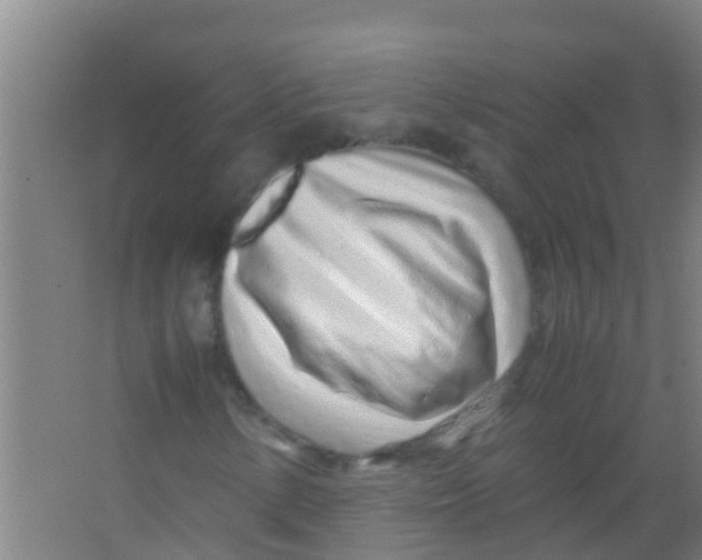 X0000067001154200604142251