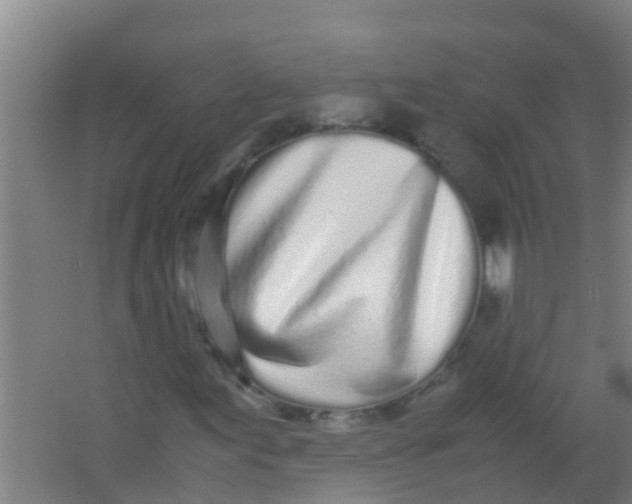 X0000067001155200604142251