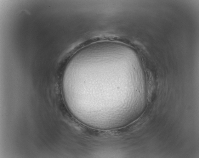 X0000067001159200604142251