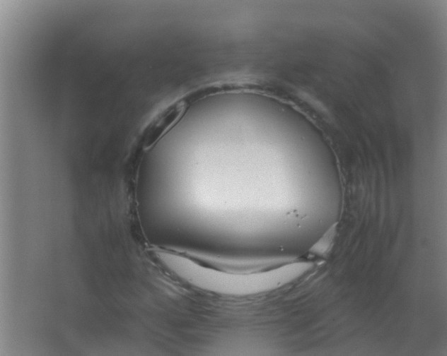 X0000067001160200604142251