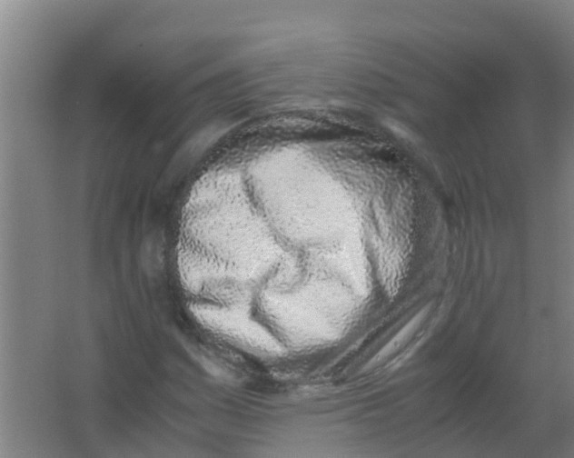 X0000067001161200604142251