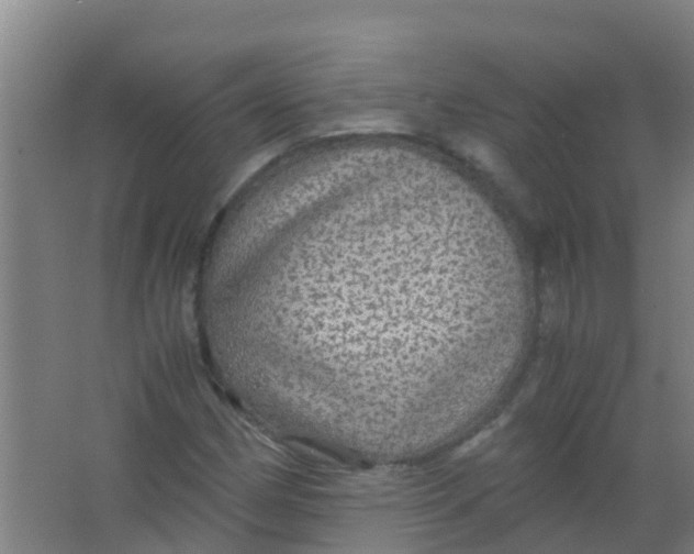 X0000067001162200604142251