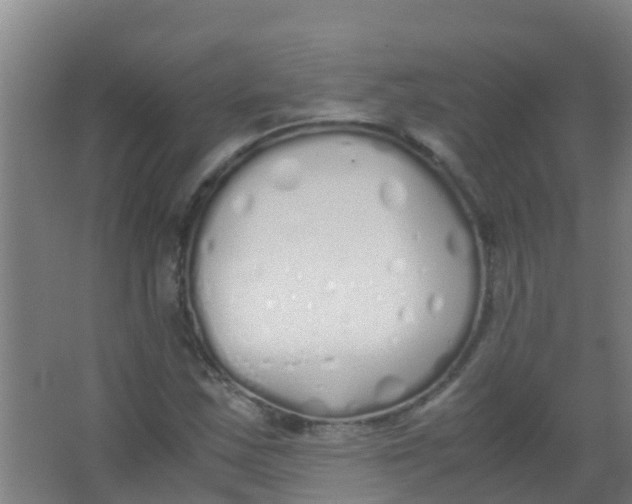 X0000067001163200604142251