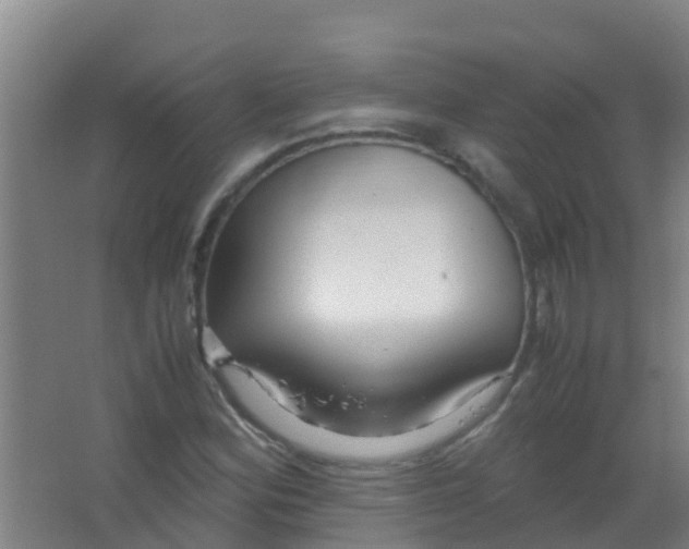 X0000067001164200604142251