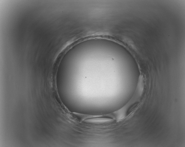 X0000067001165200604142251