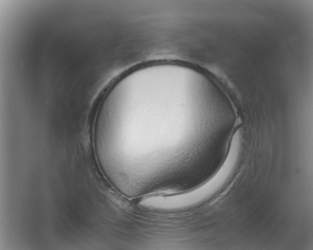 X0000067001167200604142251