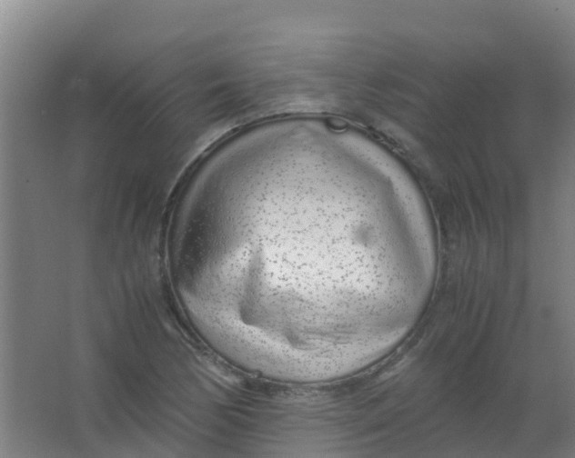 X0000067001170200604142251