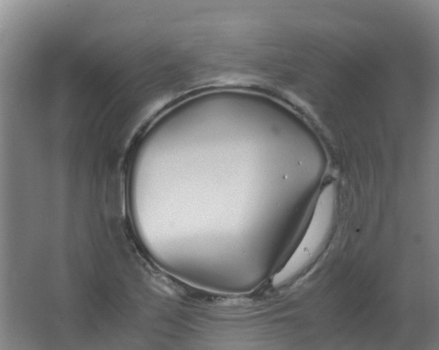 X0000067001171200604142251