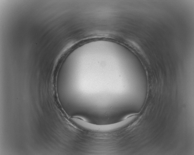 X0000067001172200604142251