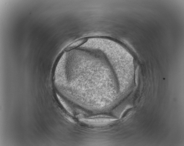 X0000067001173200604142251