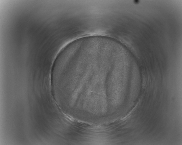 X0000067001174200604142251