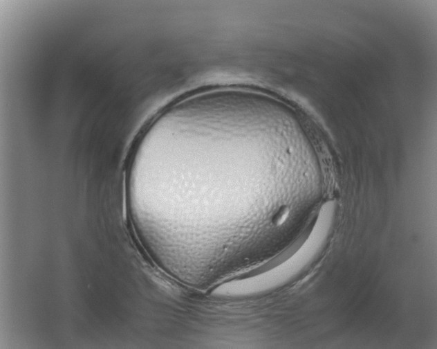 X0000067001175200604142251