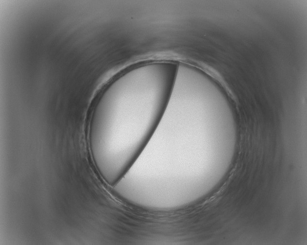 X0000067001176200604142251