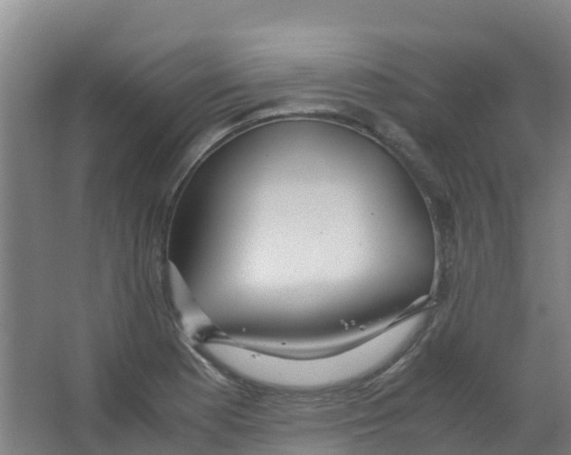 X0000067001177200604142251