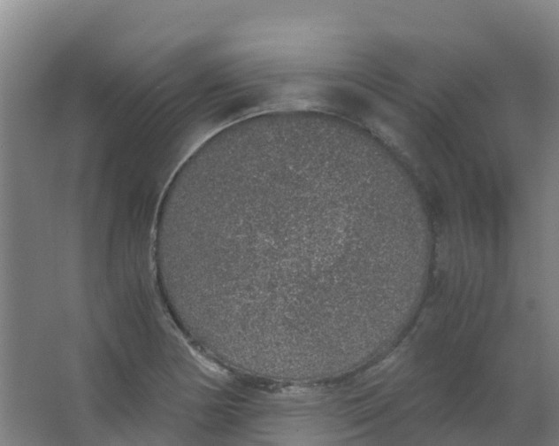 X0000067001178200604142251