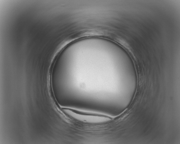 X0000067001179200604142251