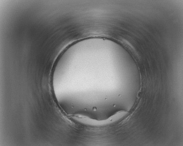 X0000067001182200604142251