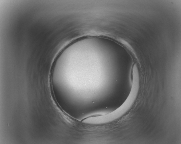 X0000067001183200604142251