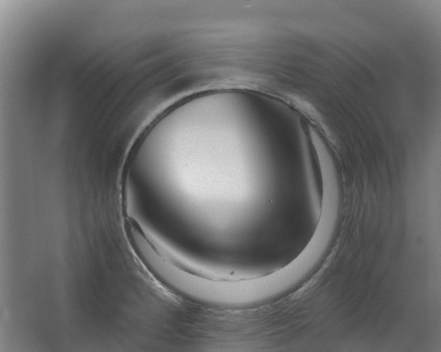 X0000067001184200604142251