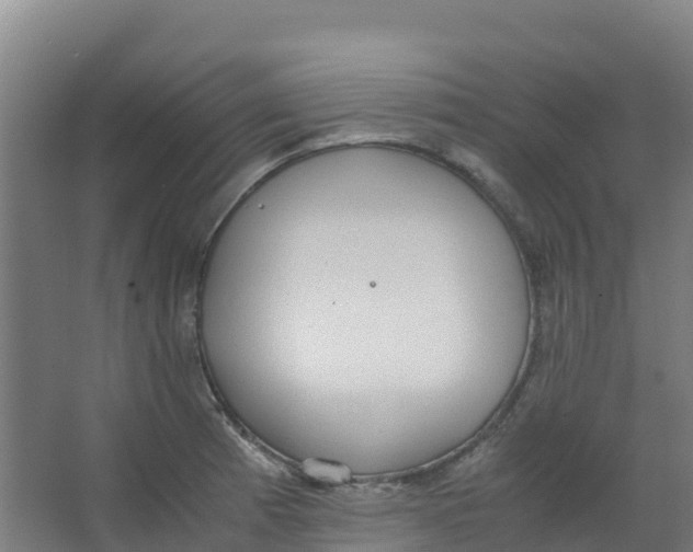 X0000067001185200604142251