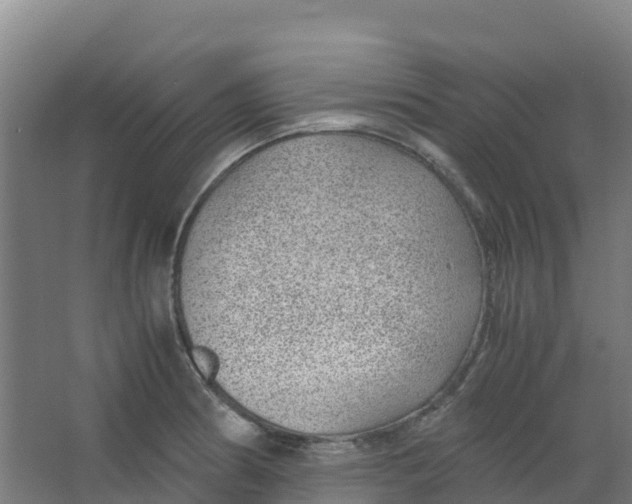 X0000067001186200604142251