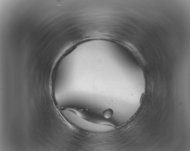 X0000067001188200604142251