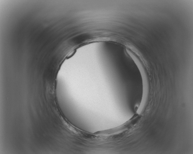 X0000067001193200604142251