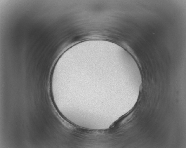 X0000067001195200604142251