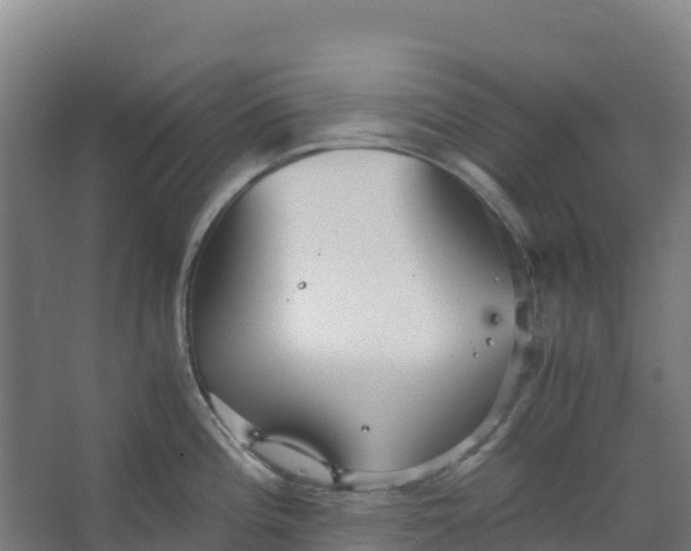 X0000067001196200604142251