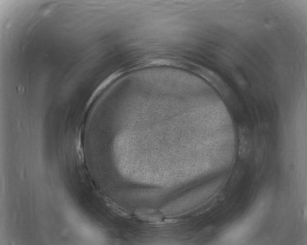 X0000067001198200604142251