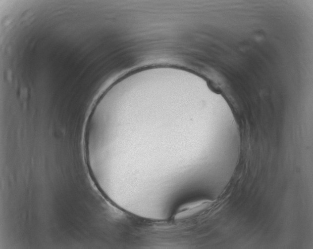 X0000067001199200604142251