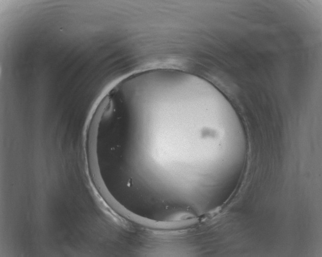 X0000067001200200604142251