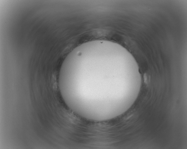 X0000067001203200604142250