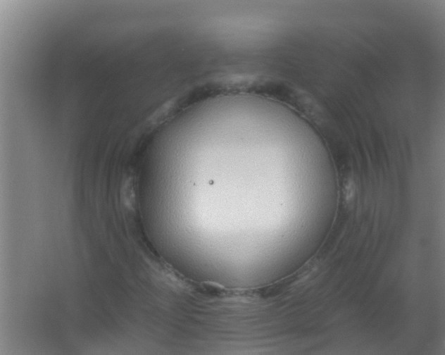 X0000067001204200604142250