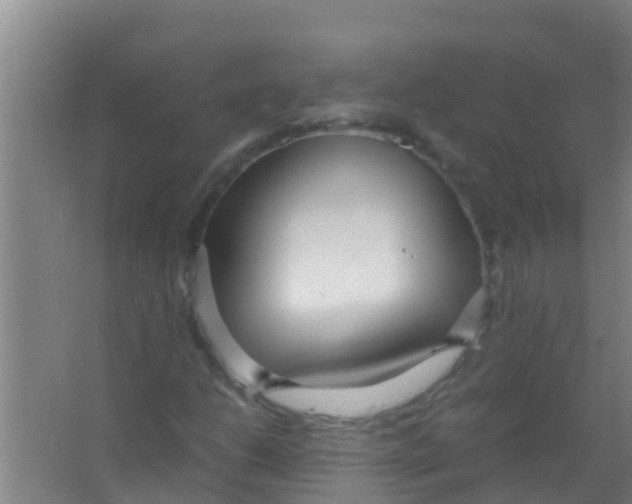 X0000067001206200604142250