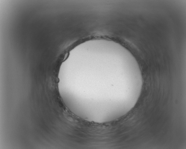 X0000067001207200604142250