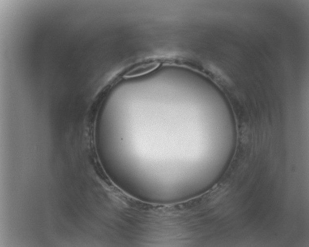 X0000067001208200604142250