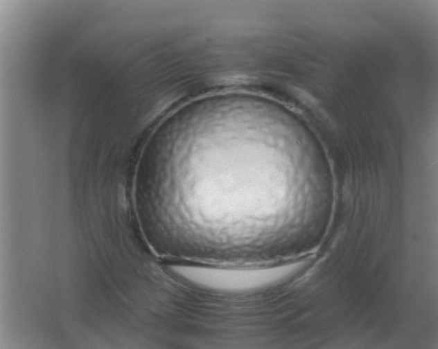 X0000067001209200604142250