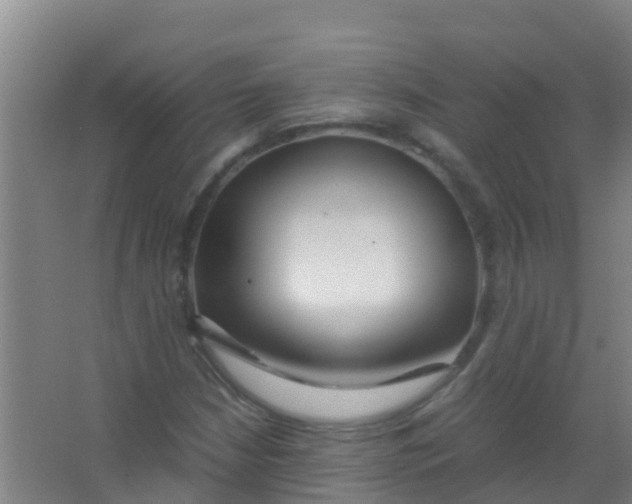 X0000067001210200604142250