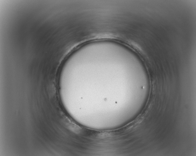 X0000067001212200604142250