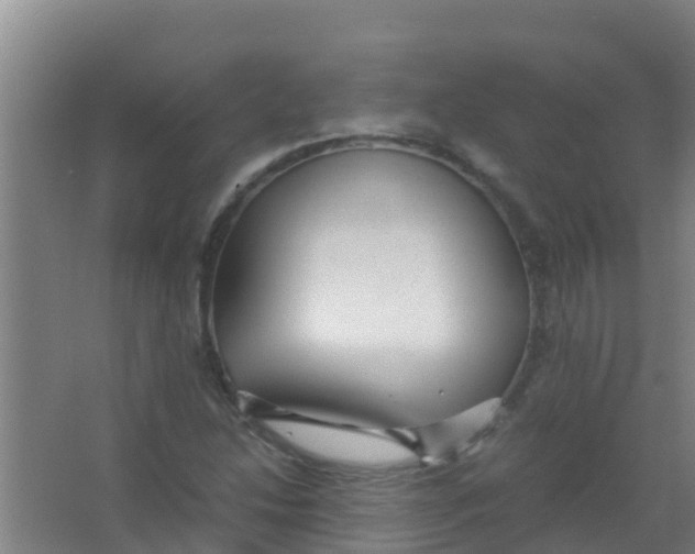 X0000067001214200604142250