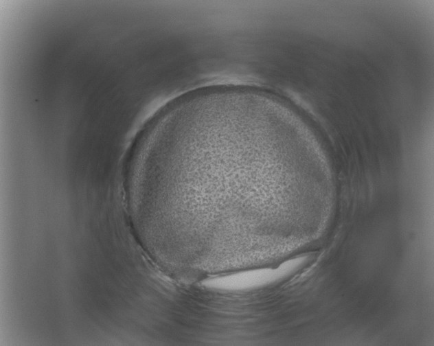 X0000067001215200604142250